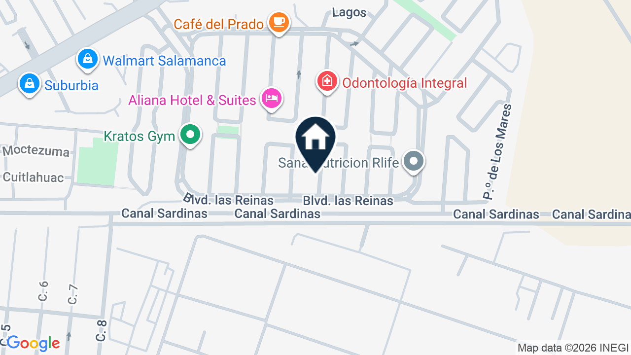 Mapa de Paseo de los Palmares 103, colonia Las Reynas, Guanajuato